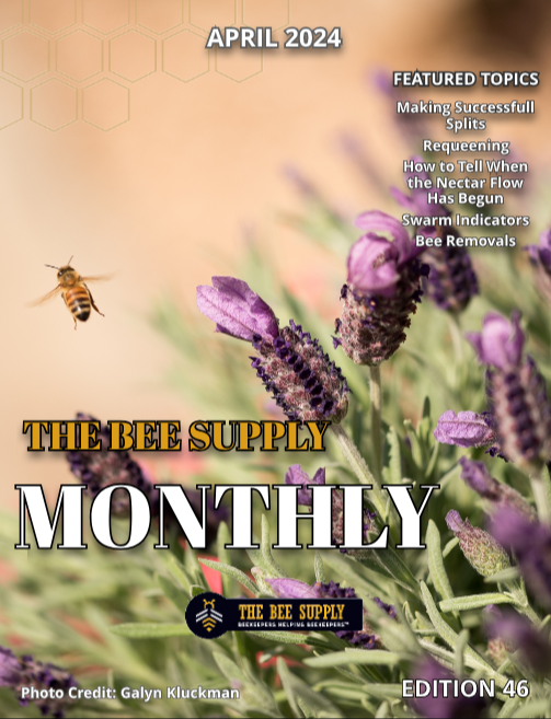 The Bee Supply Monthly - April 2024