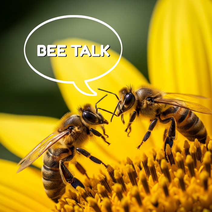 Bee Talk: Solving Everyday Hive Problems