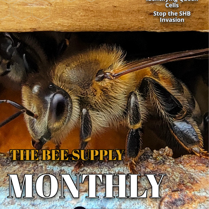 The Bee Supply Monthly -May 2024