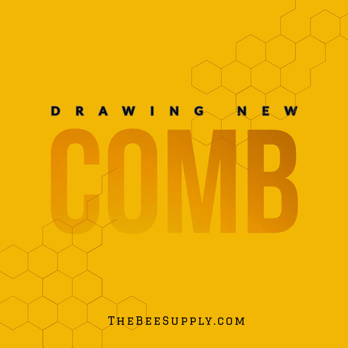 DRAWING NEW COMB