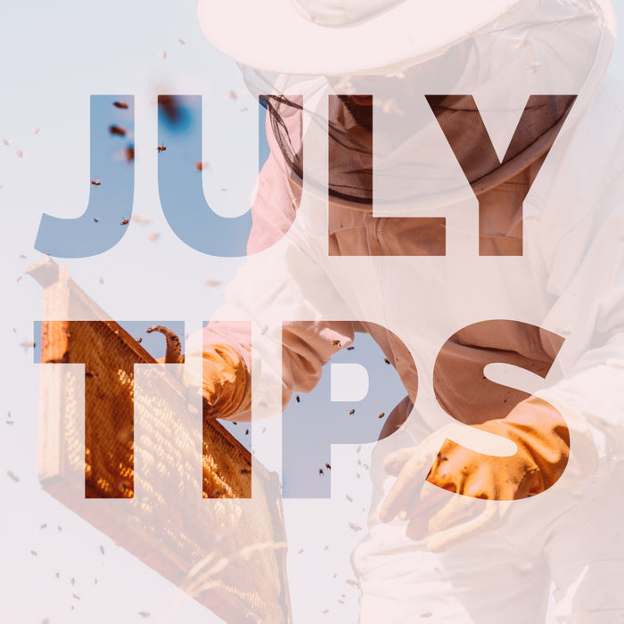 July Beekeeping Tips 2024