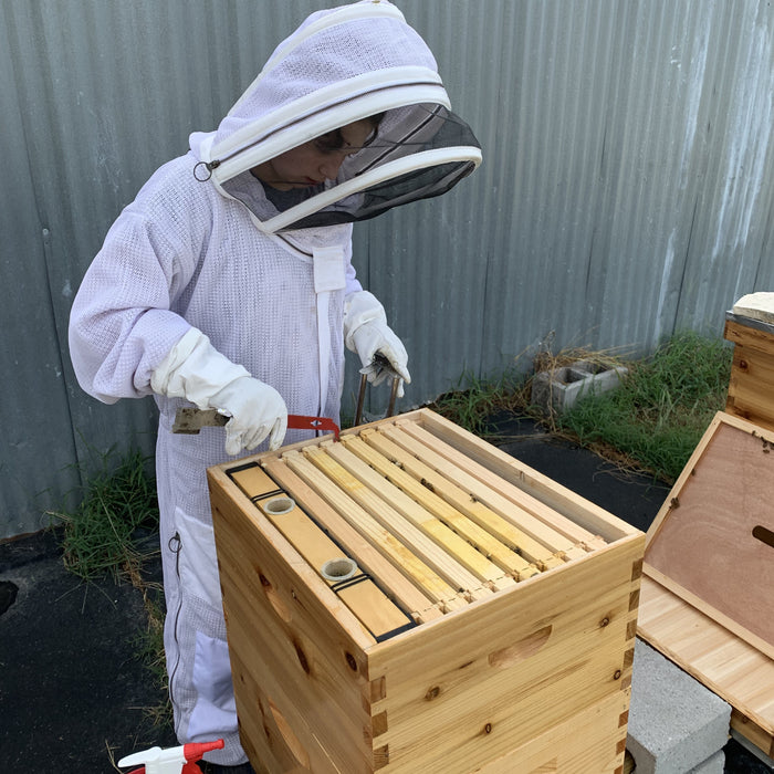 Beekeeping Tools: Top Tools Every Beekeeper Should Have