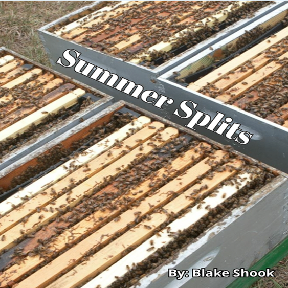 Making Summer Splits