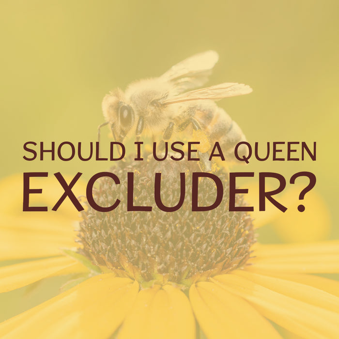 SHOULD I USE A QUEEN EXCLUDER?