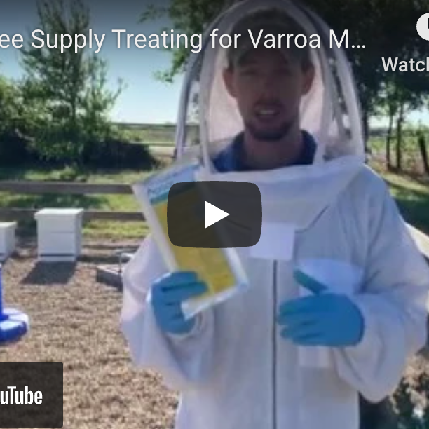 How to Treat Varroa Mites with Apivar