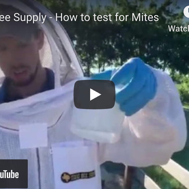 How to test for Varroa Mites