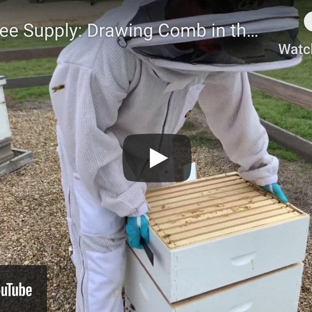 Drawing Comb in the Summer Months-Video