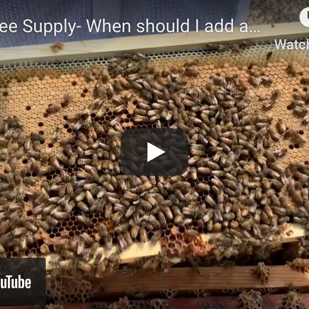 When To Add Another Bee Box