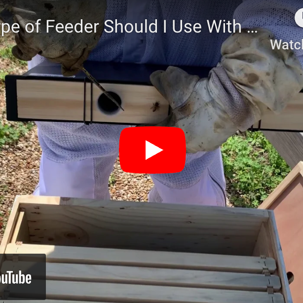 Feeder Options with Blake Shook