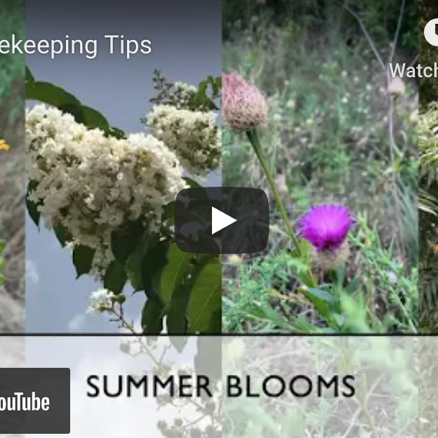 July Beekeeping Tips