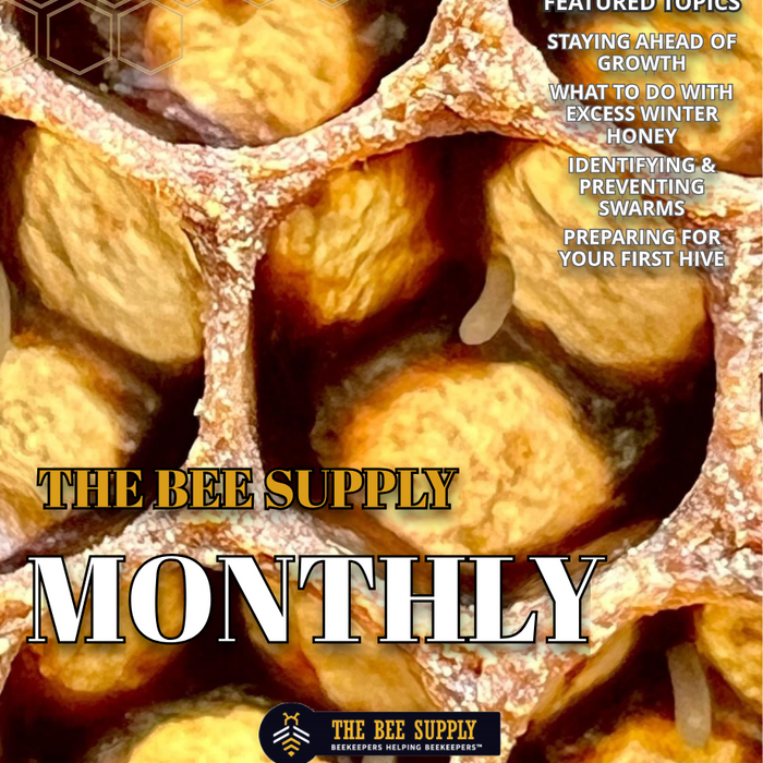 The Bee Supply Monthly - March 2024