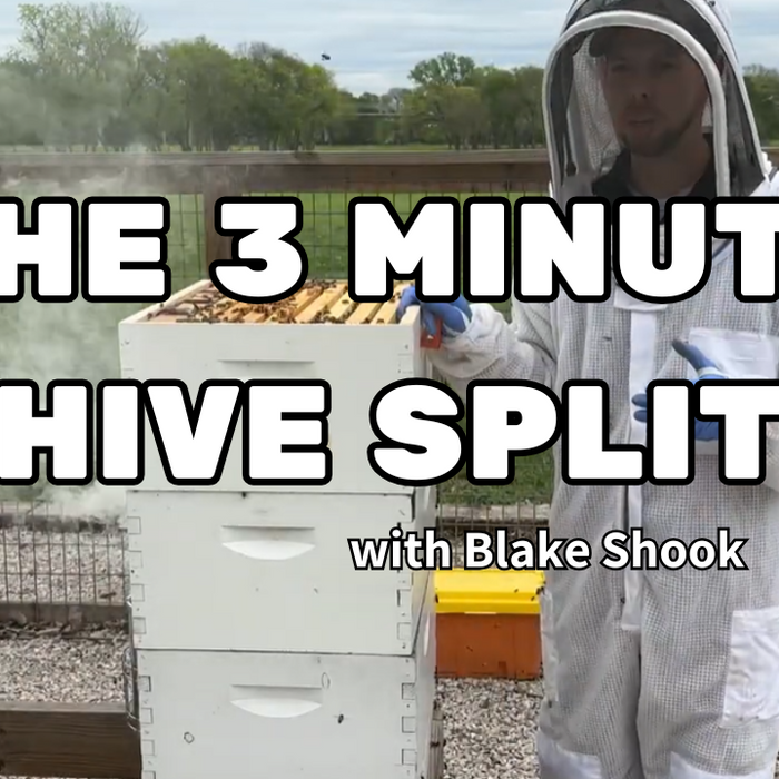 Splitting a beehive in 3 minutes