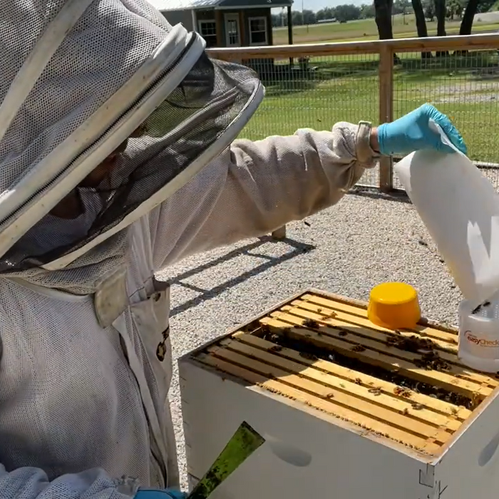 testing for varroa mites