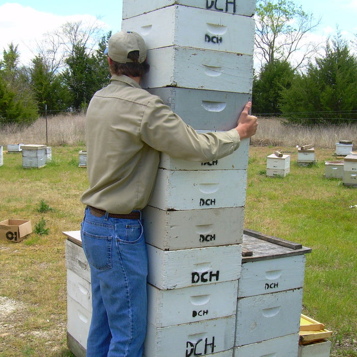 Adding honey supers