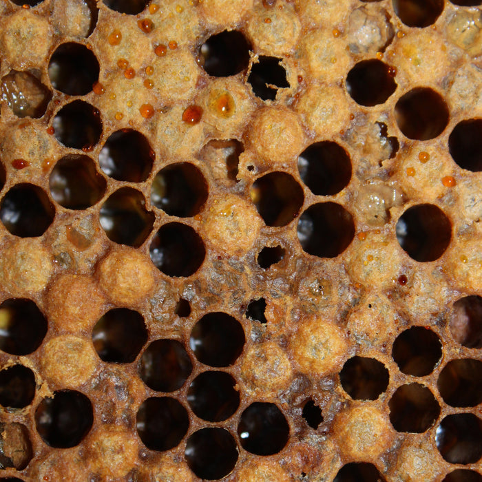 American and European Foulbrood