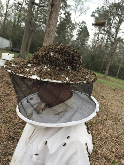 Diagnosing Hive Death