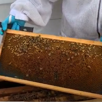 Hive Forensics
