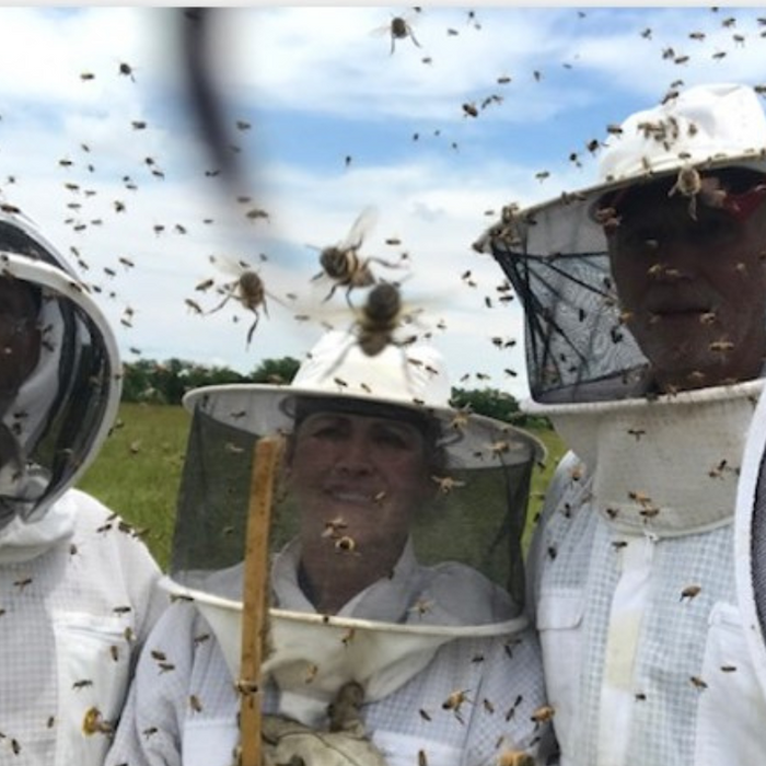mean bees hot bees