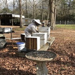 Objective of Fall Feeding and Brood Nest Management