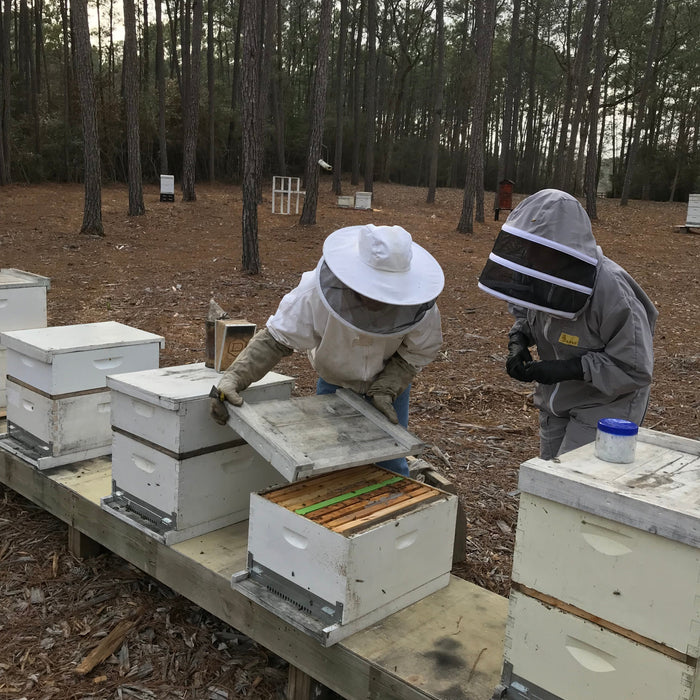 Bee hive management