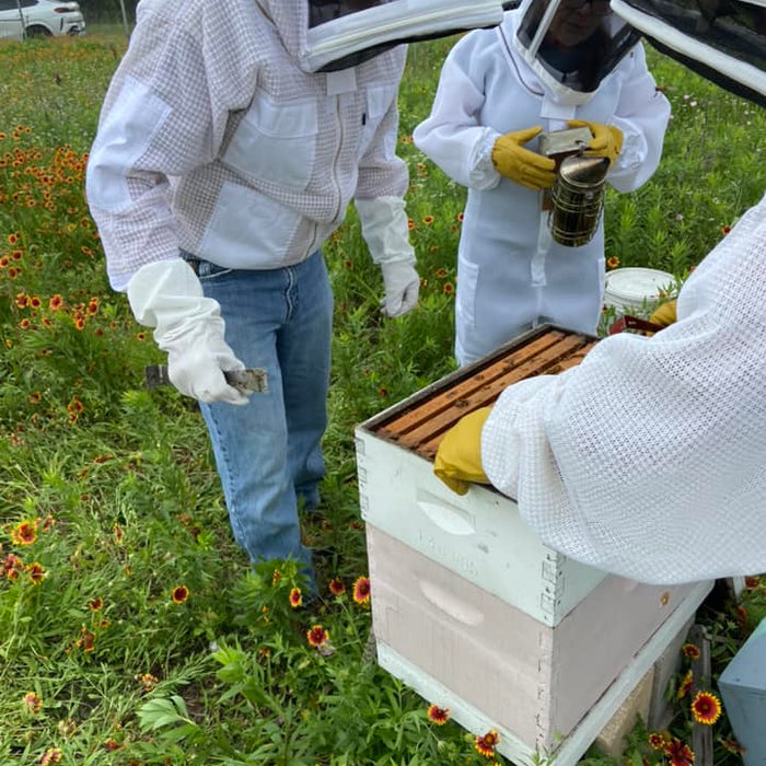 Early-Summer Hive Management: Harvesting Honey and Planning Ahead 📝