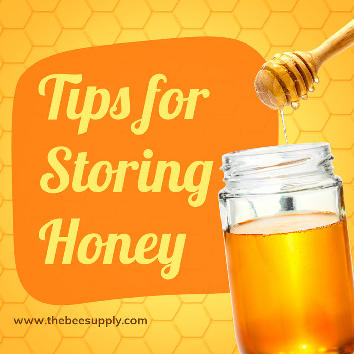 Storing Honey and Extracted Honey Frames