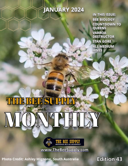 The Bee Supply Monthly - January 2024