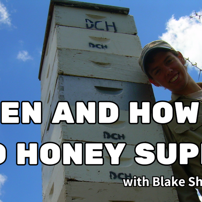 When and How To Add Honey Supers (Video)
