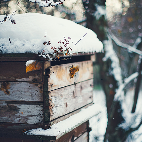 Cold Weather Chores