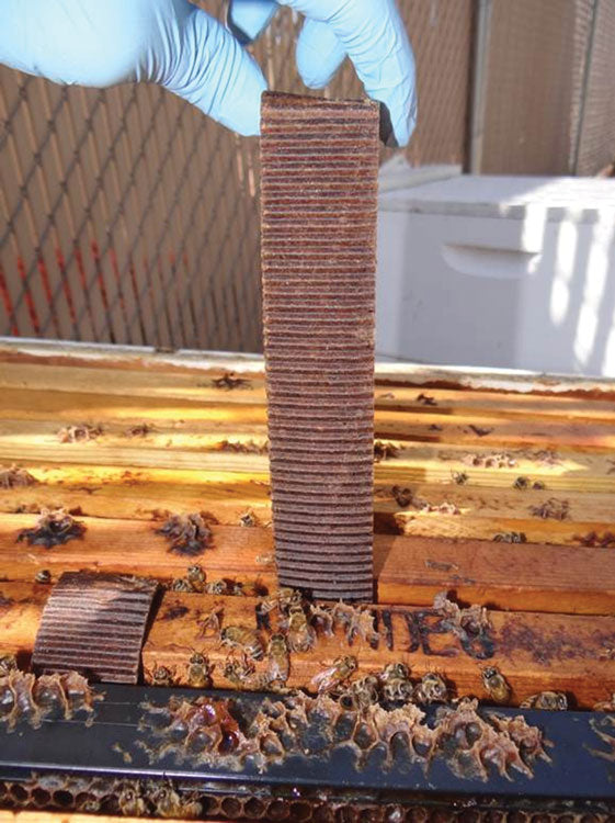 natural varroa control system