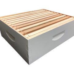 10 Frame Medium 6 5 8 Assembled Hive Box