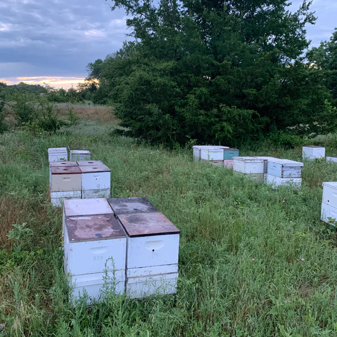 *** 2025 TBS RENT-A-BEE *** Hive Management and Tax Exempt Program