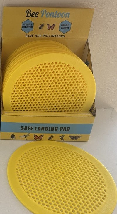 Bee Pontoon