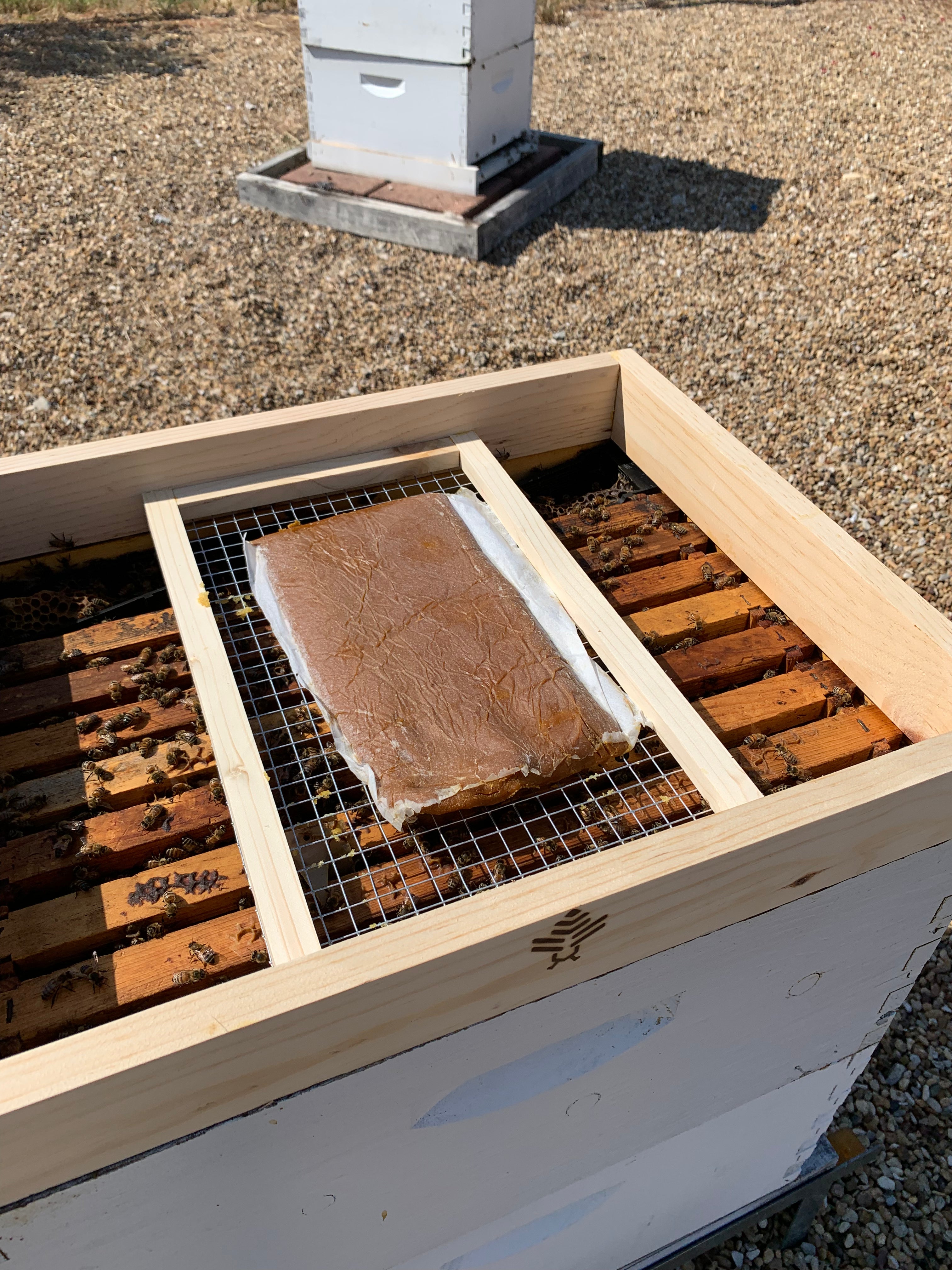 Sugar Brick and Patty Tray Feeder for 10 Frame Hive