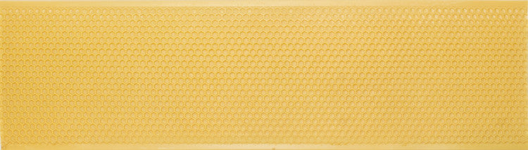 Shallow Yellow Foundation Case Pack of Ten