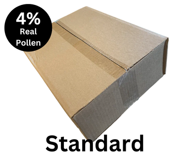 Global 40 LB Dumbbell