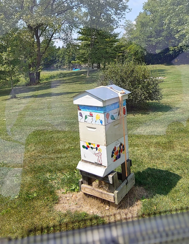 A clear vision of simplicity and convenience.