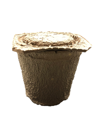 Swarm Trap Image
