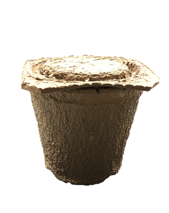 Swarm Trap Image