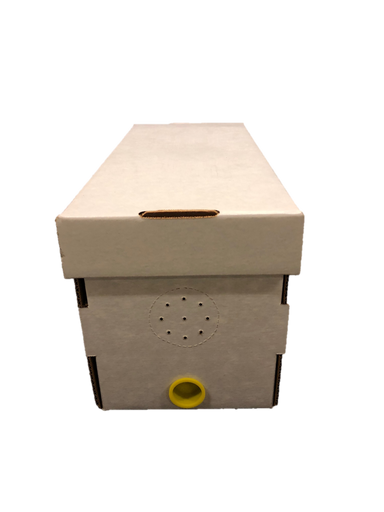 Cardboard nuc boxes with cap plug.