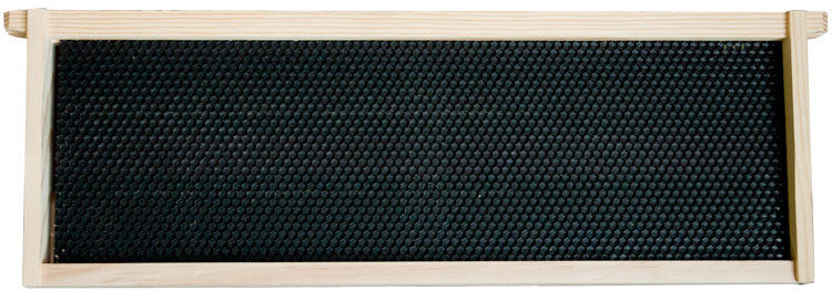 Premium Medium Assembled Frames - Complete with Sleek BLACK Foundation!