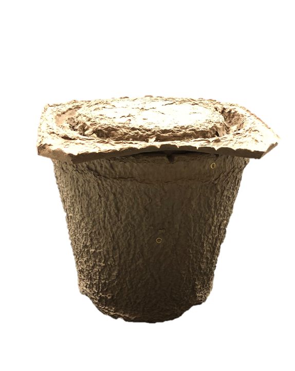 Swarm Trap for Catching Bees