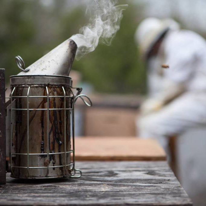 February Beekeeping Tips