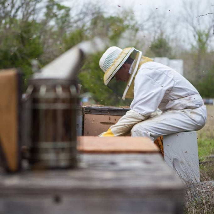 May Beekeeping Tips