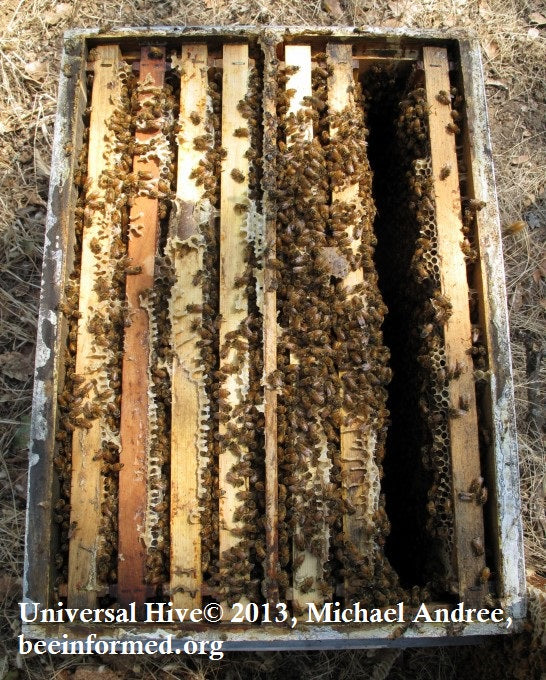 Top 10 Tips for Beginners — The Bee Supply