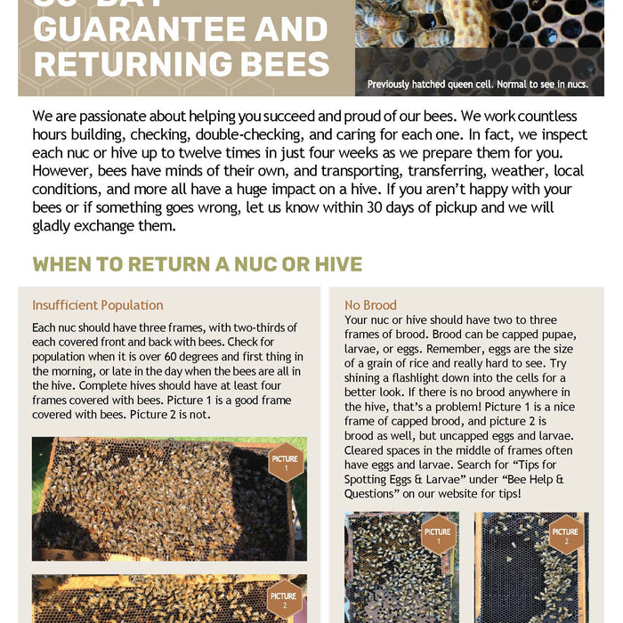 30-DAY GUARATEE AND RETURNING BEES