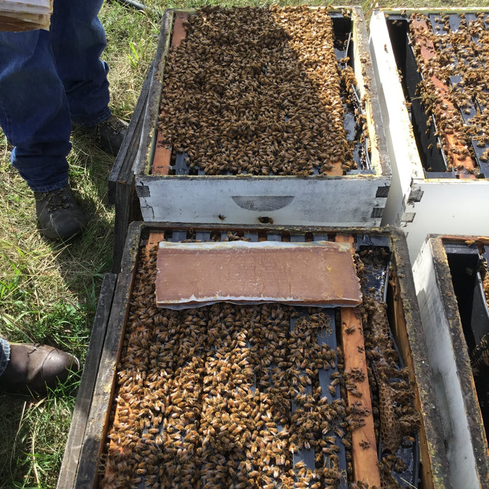Why Feed Pollen Supplements?