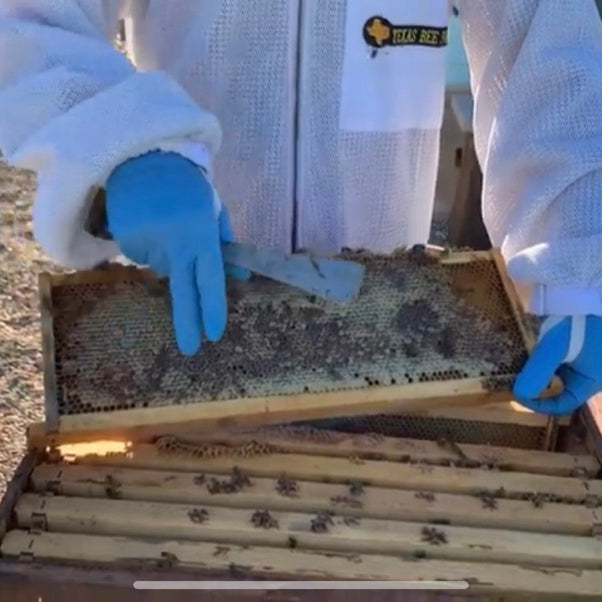 Checking Honey Stores- Winter