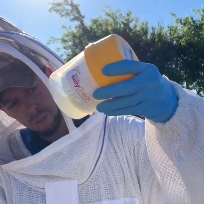 Varroa Destructor - Treatment Options made EASY