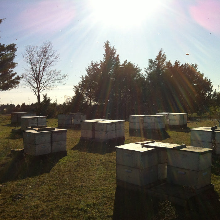 January Monthly Tips